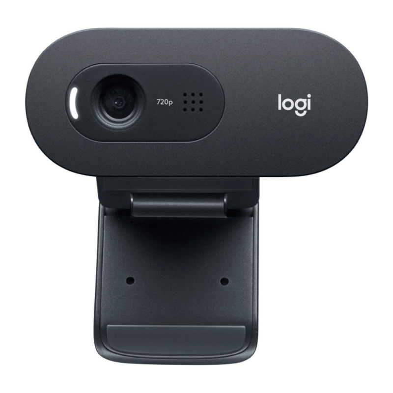 Logitech C505 HD Webcam